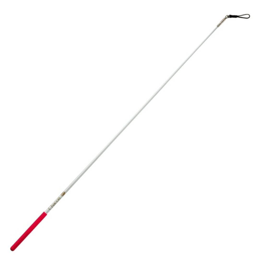 Bâton métallique CHACOTT (standard)