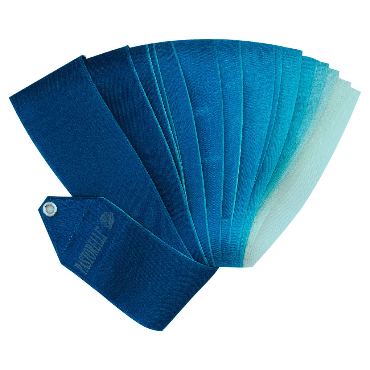 PASTORELLI Arche Platinum Multi-Colour Ribbons FIG-approved