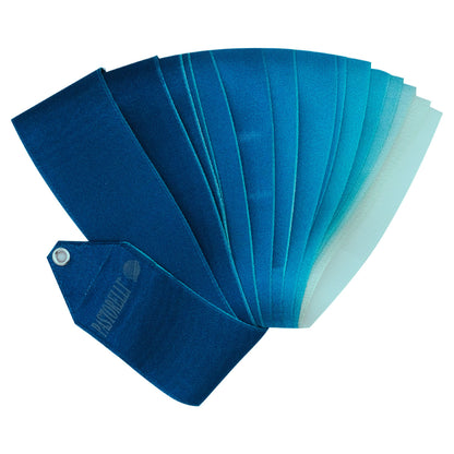 PASTORELLI Arche Platinum Multi-Colour Ribbons FIG-approved