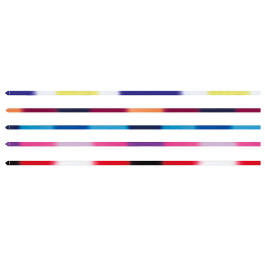 Rubans multicolores SASAKI - HIGH PITCH GRADATION