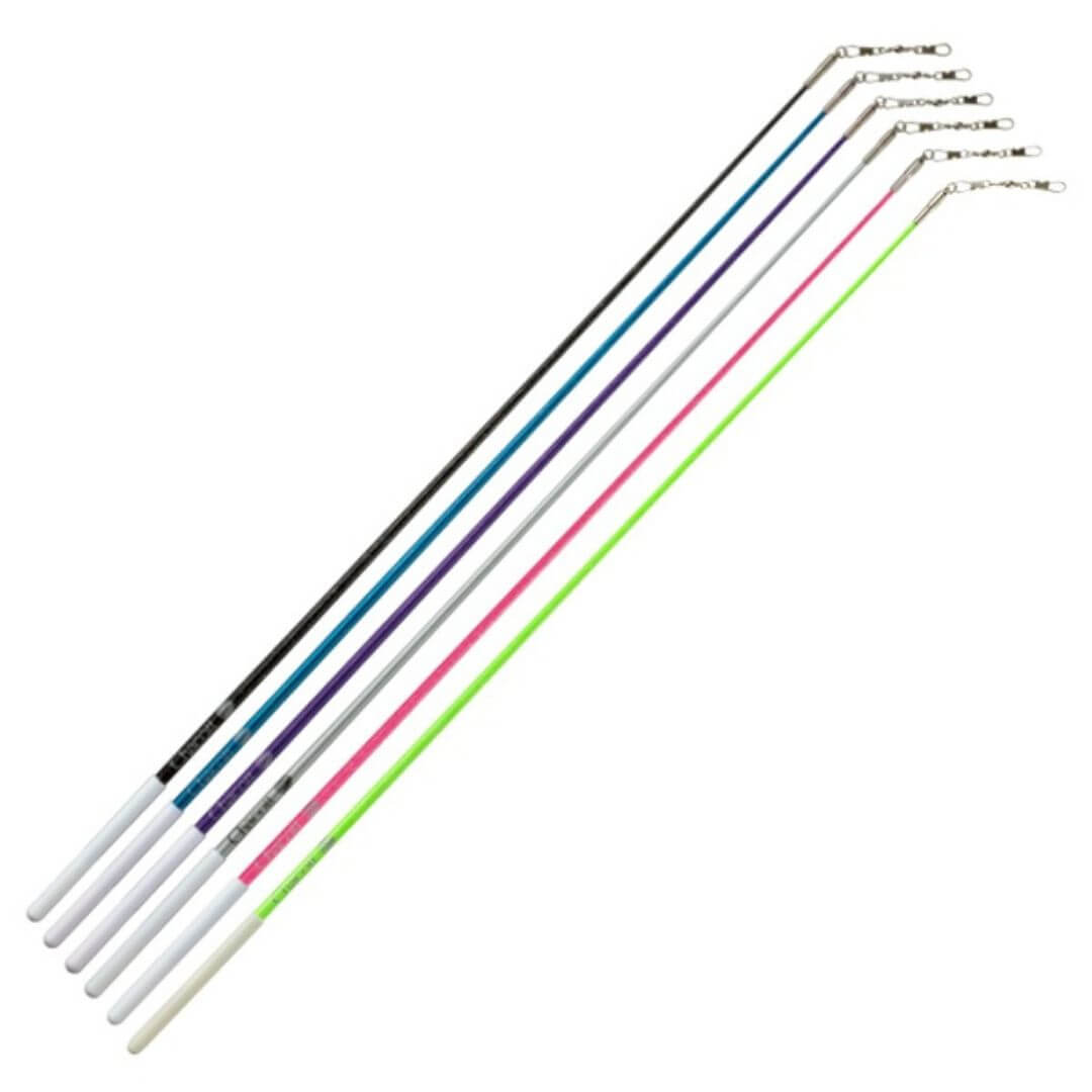 Bâton CHACOTT RG HOLOGRAMME-FIG-approuvé