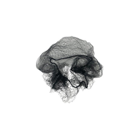 Filet à cheveux