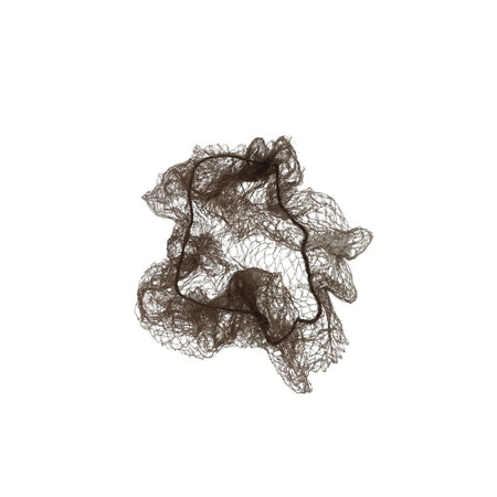 Filet à cheveux